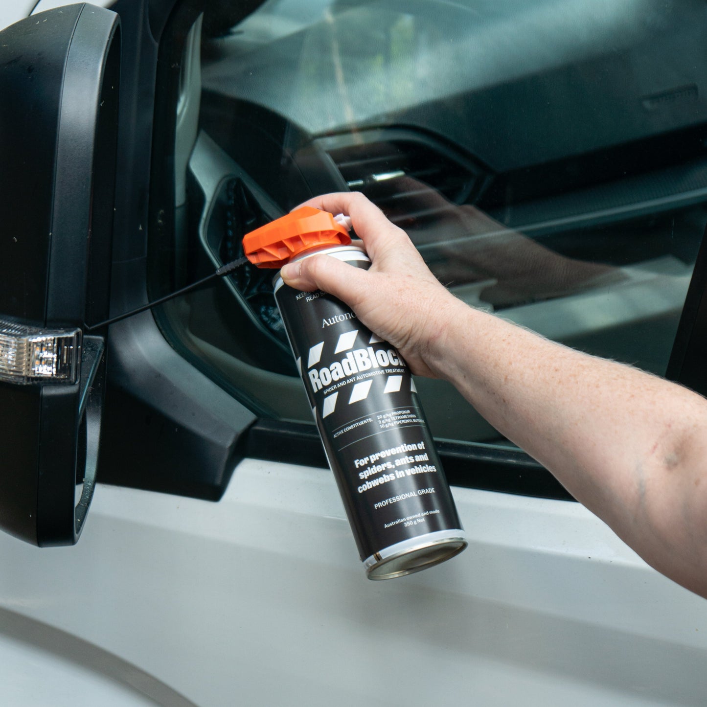 Spray RoadBlock on side mirrors to prevent spiders and ants nesting 